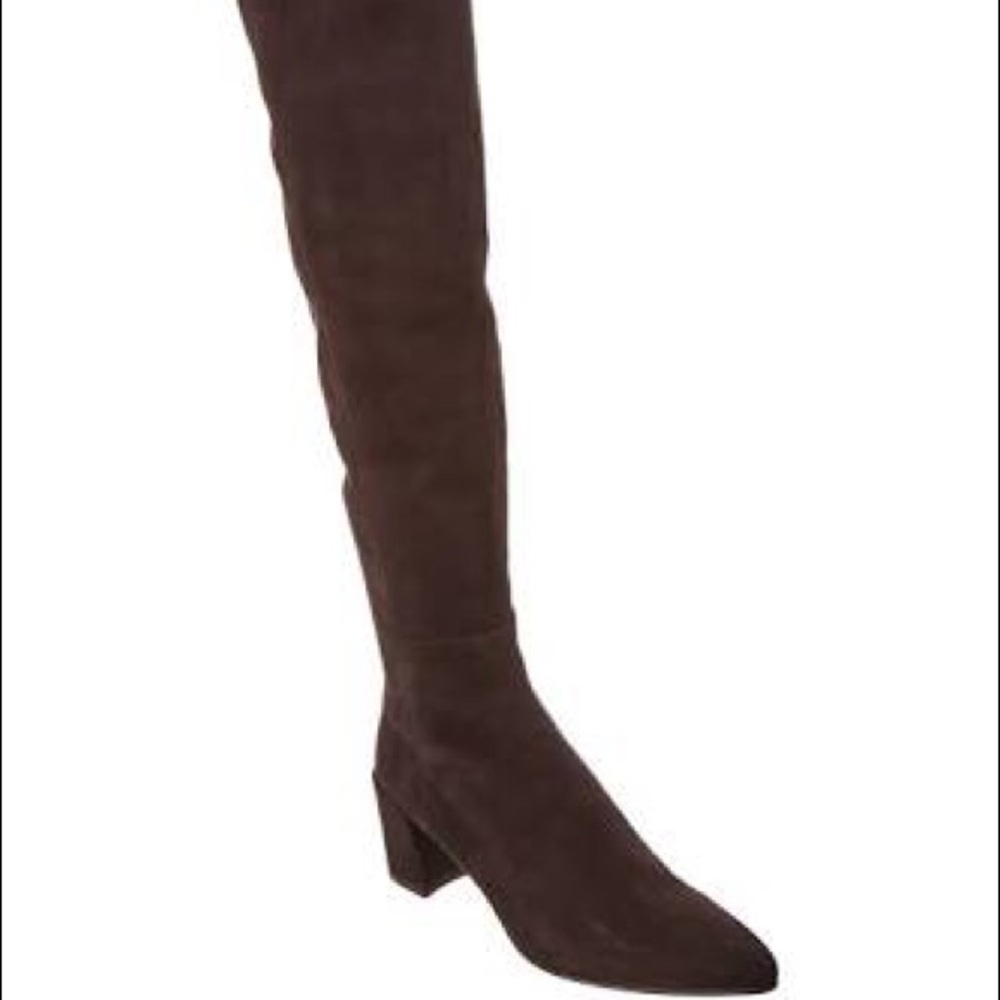 Stewart Weitzman over the knee boots